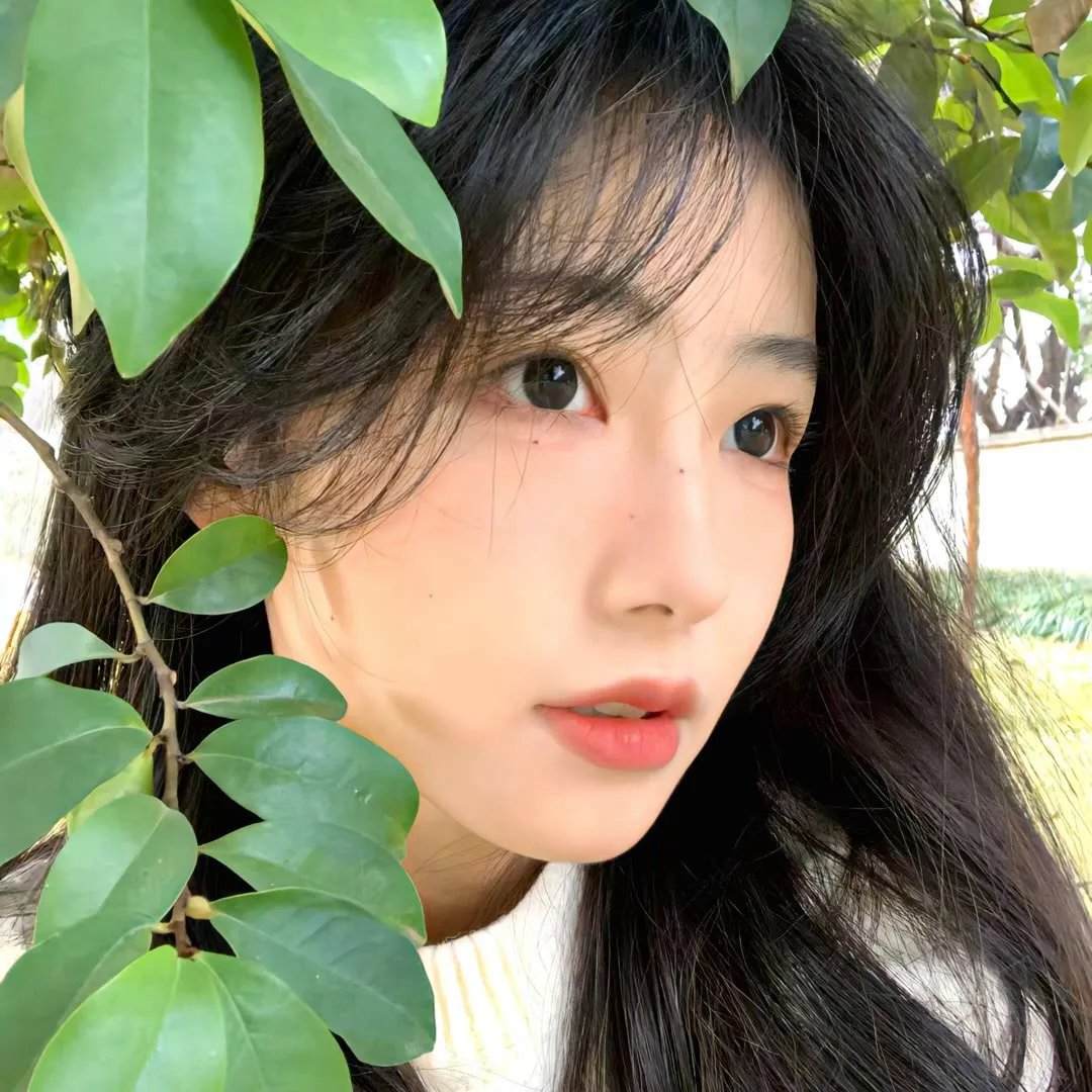 全世界的国王